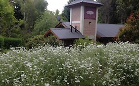 Los Abetos B&B 2